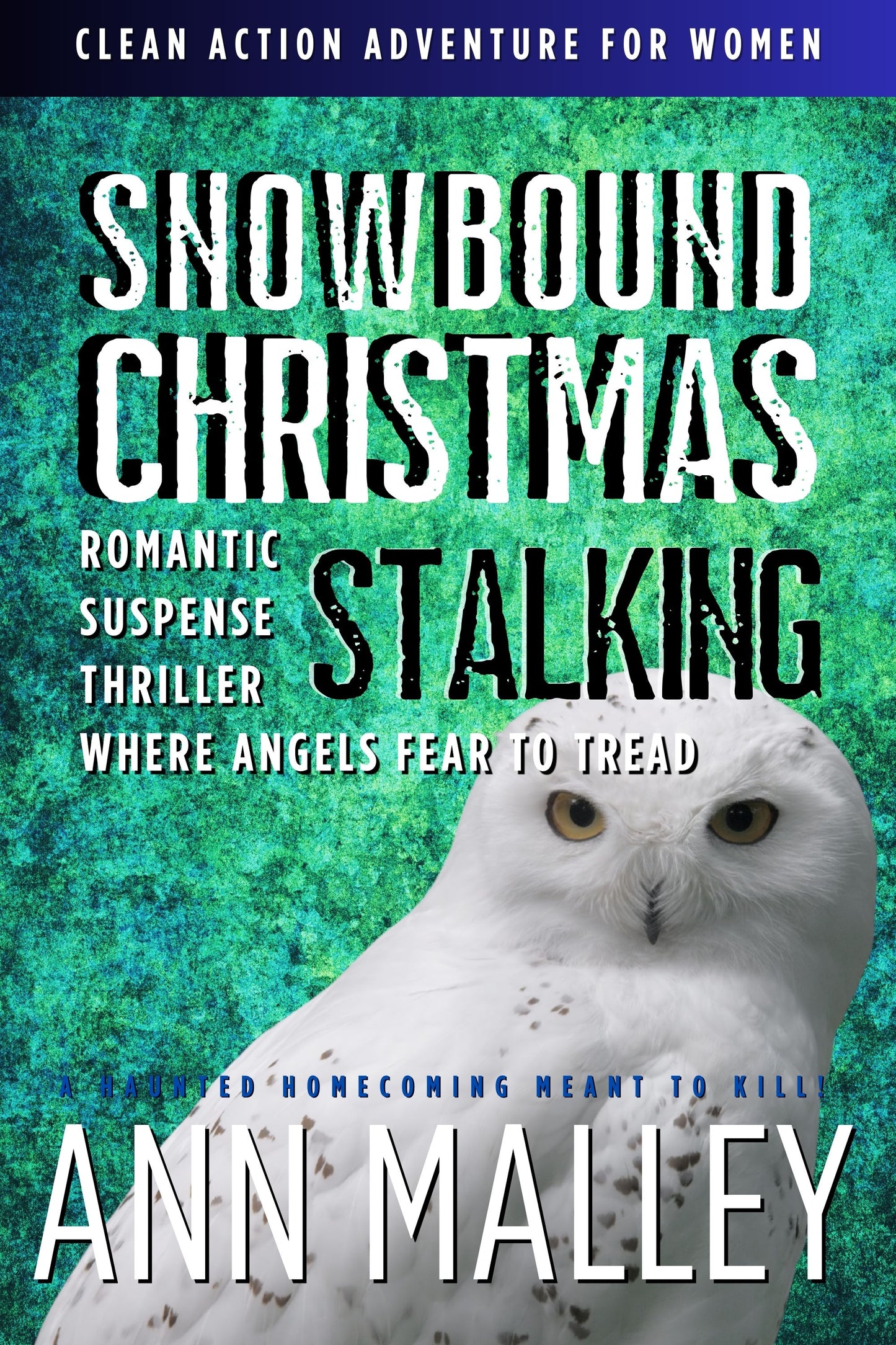 SNOWBOUND CHRISTMAS STALKING: Clean, Supernatural, Romantic Suspense